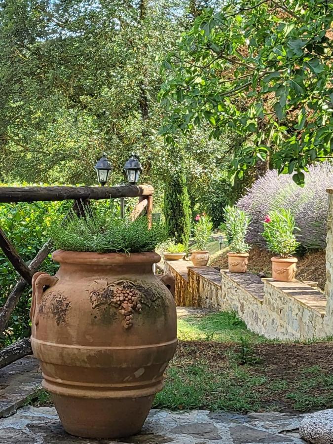 Luxury 1-Bedroom House With The Pool In Tuscany. Anghiari Ngoại thất bức ảnh