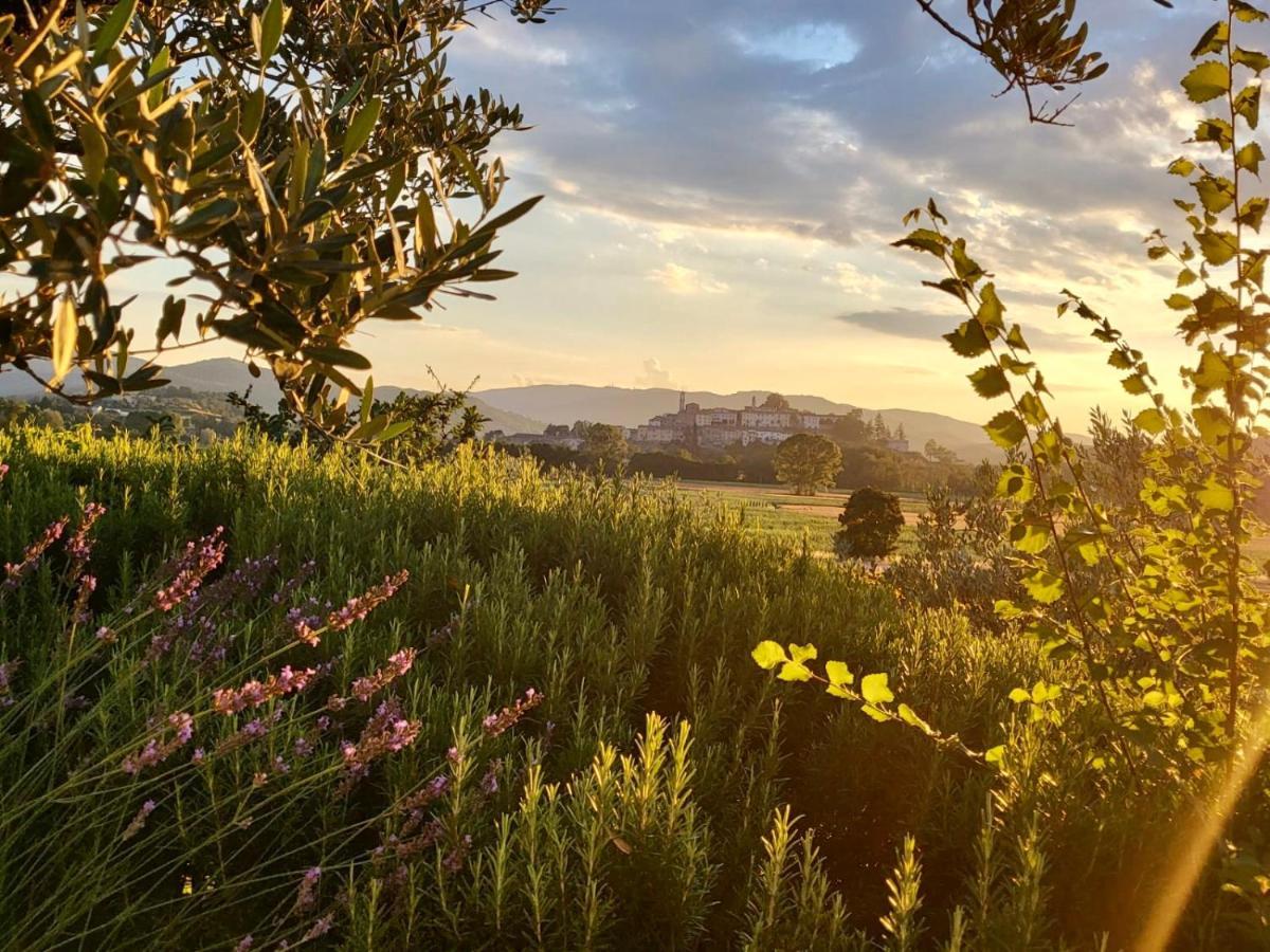 Luxury 1-Bedroom House With The Pool In Tuscany. Anghiari Ngoại thất bức ảnh