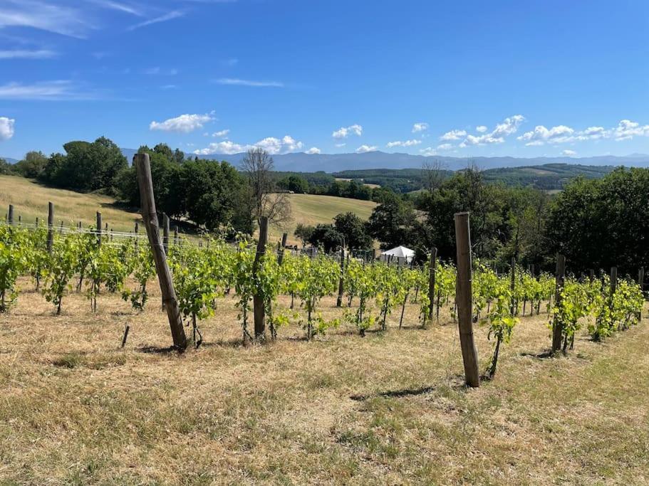 Luxury 1-Bedroom House With The Pool In Tuscany. Anghiari Ngoại thất bức ảnh