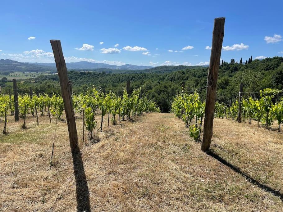 Luxury 1-Bedroom House With The Pool In Tuscany. Anghiari Ngoại thất bức ảnh