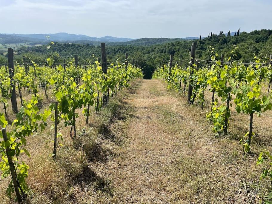 Luxury 1-Bedroom House With The Pool In Tuscany. Anghiari Ngoại thất bức ảnh