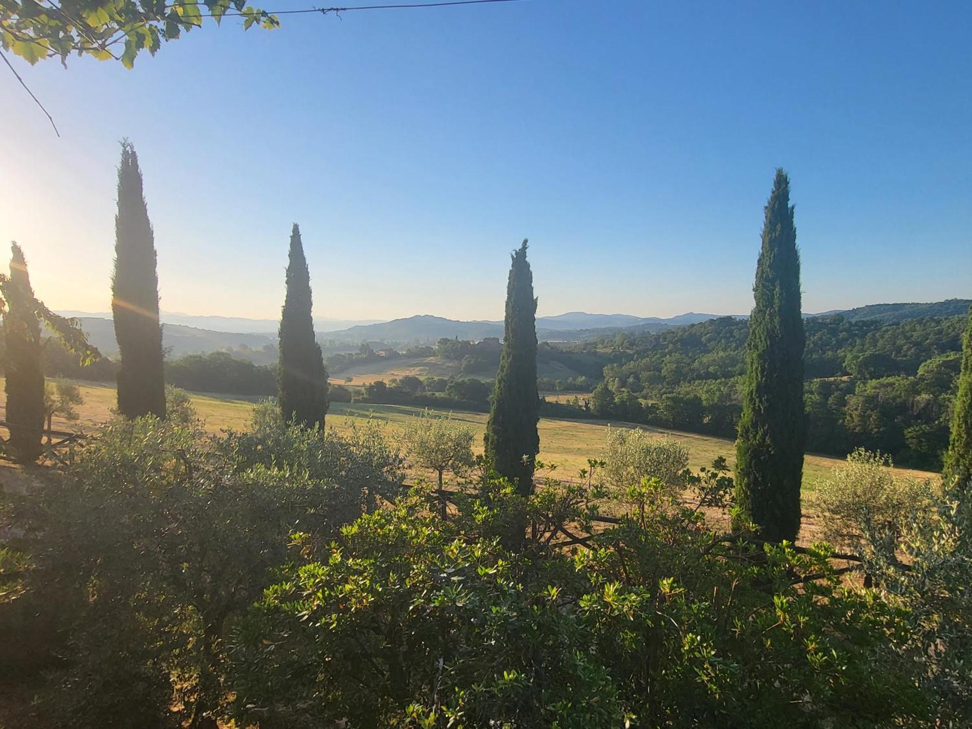 Luxury 1-Bedroom House With The Pool In Tuscany. Anghiari Ngoại thất bức ảnh